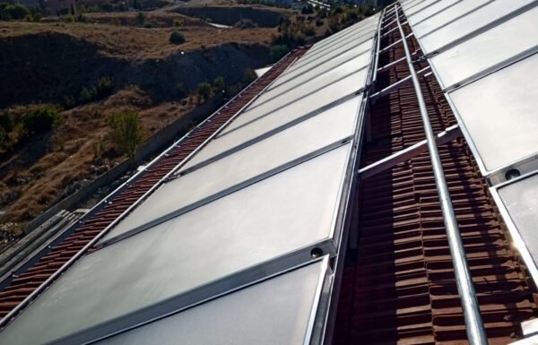 WhatsApp Image 2026-01-21 at 11.38.55 (2)