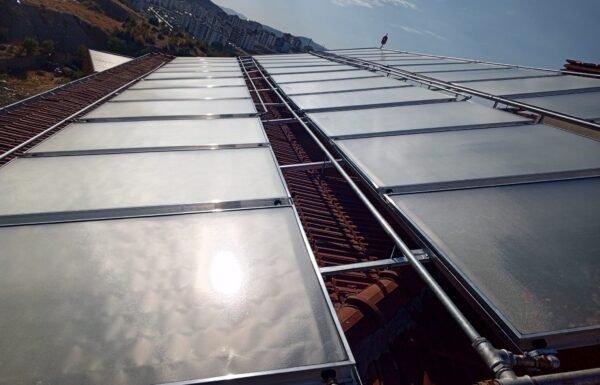 WhatsApp Image 2026-01-21 at 11.38.55