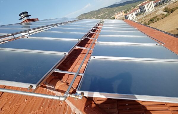 WhatsApp Image 2026-01-21 at 11.38.56 (1)