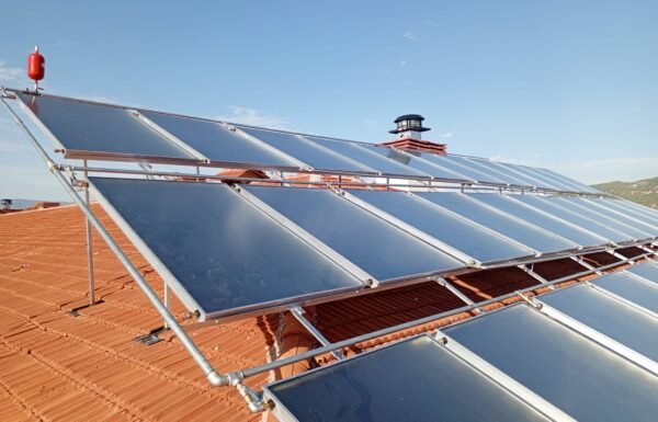 WhatsApp Image 2026-01-21 at 11.38.56