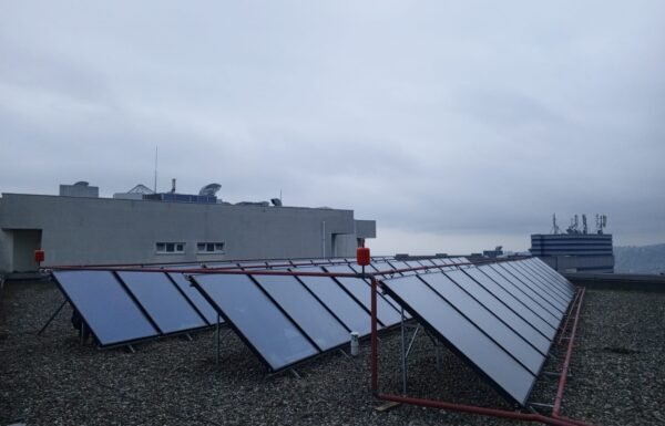 WhatsApp Image 2026-01-21 at 11.51.15 (1)