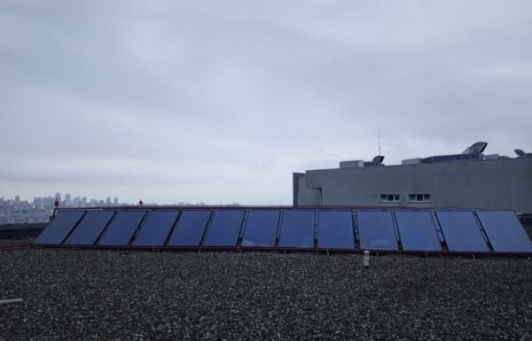 WhatsApp Image 2026-01-21 at 11.51.15 (2)