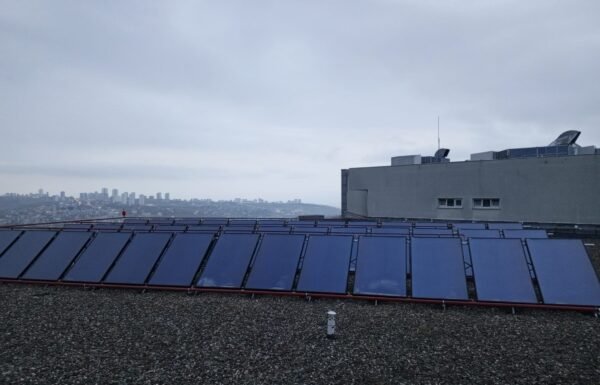 WhatsApp Image 2026-01-21 at 11.51.15 (3)