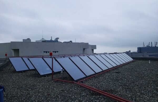 WhatsApp Image 2026-01-21 at 11.51.15