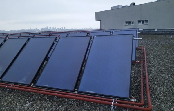 WhatsApp Image 2026-01-21 at 11.51.16