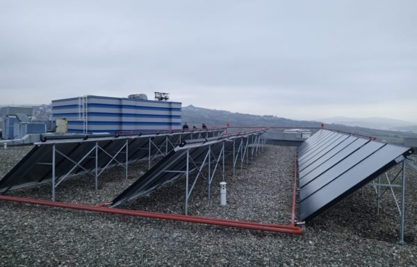 WhatsApp Image 2026-01-21 at 11.51.21 (1)