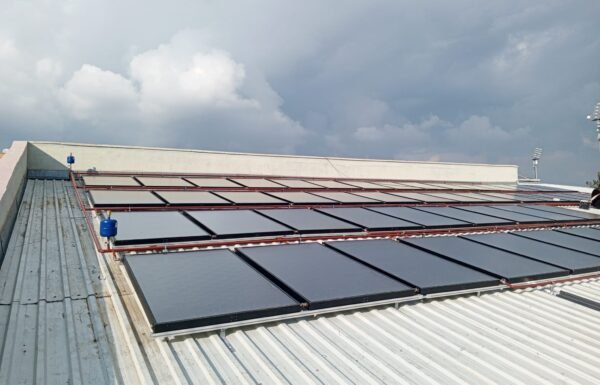 WhatsApp Image 2026-01-21 at 11.58.34