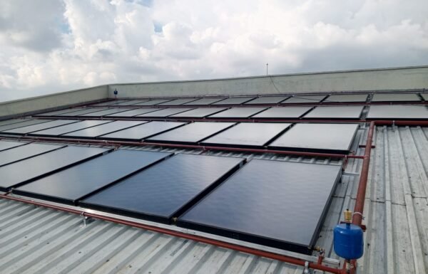 WhatsApp Image 2026-01-21 at 11.58.36