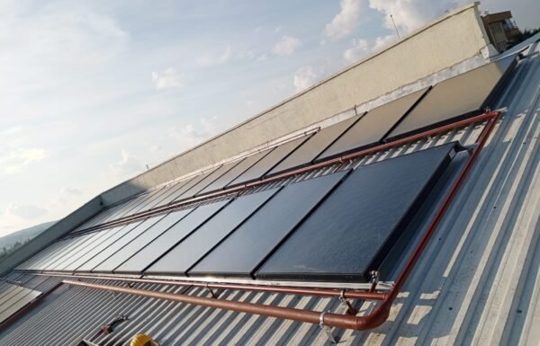 WhatsApp Image 2026-01-21 at 11.58.37