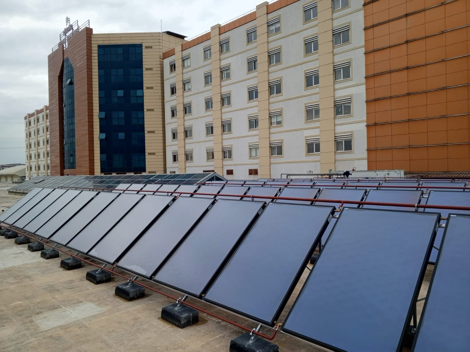 WhatsApp Image 2026-01-21 at 12.18.28 (3)