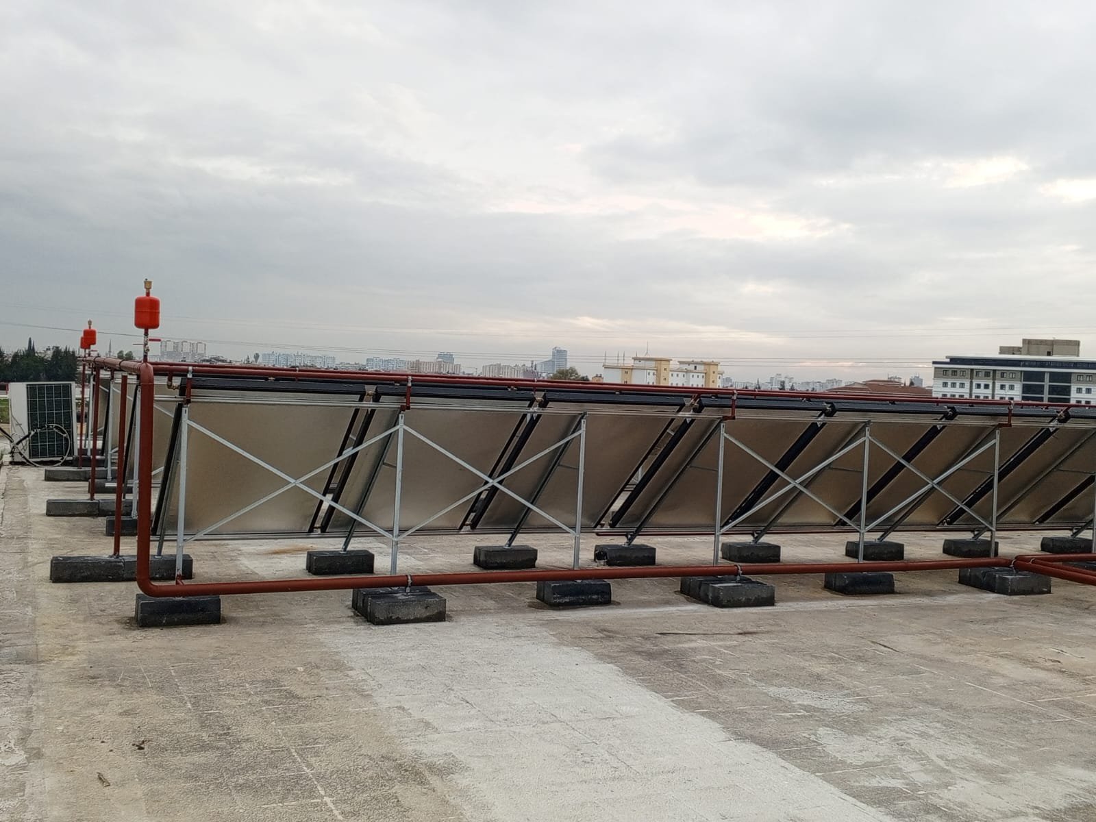 WhatsApp Image 2026-01-21 at 12.18.28 (4)