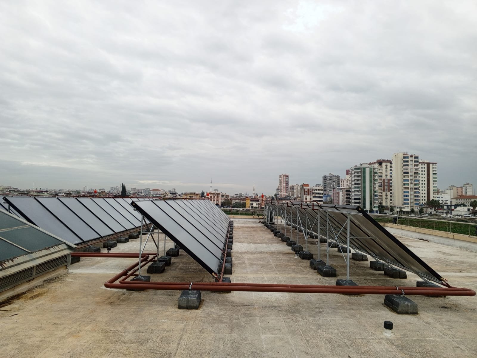 WhatsApp Image 2026-01-21 at 12.18.29 (1)