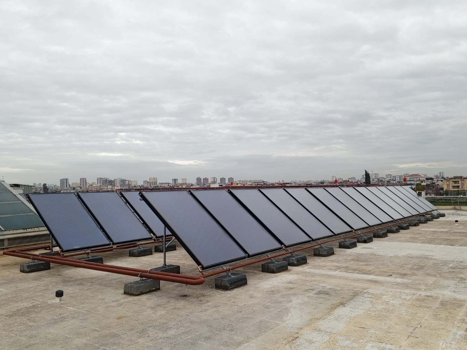 WhatsApp Image 2026-01-21 at 12.18.29