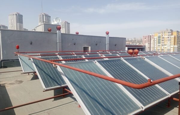 WhatsApp Image 2026-01-21 at 12.23.26 (3)