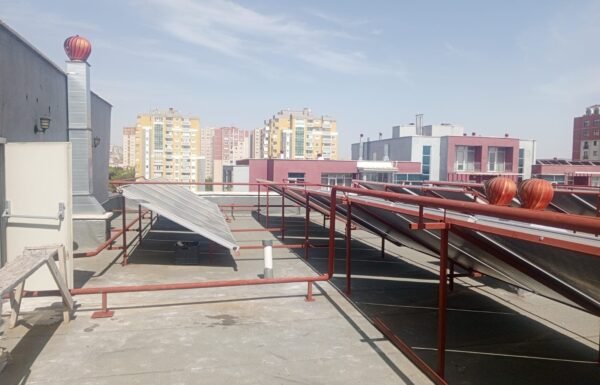 WhatsApp Image 2026-01-21 at 12.23.26 (5)