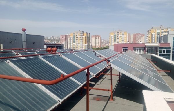 WhatsApp Image 2026-01-21 at 12.23.26