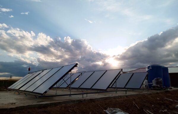 WhatsApp Image 2026-01-21 at 12.25.58 (2)