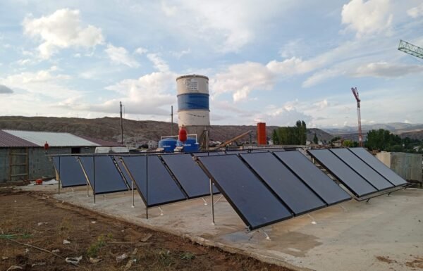 WhatsApp Image 2026-01-21 at 12.25.58