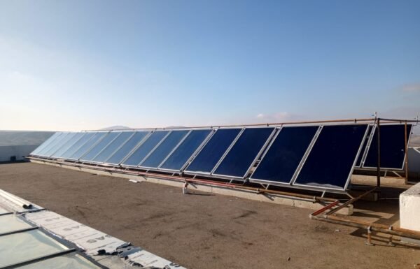 WhatsApp Image 2026-01-21 at 12.29.37