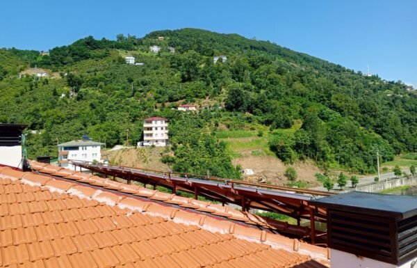 WhatsApp Image 2026-01-21 at 12.33.58 (1)