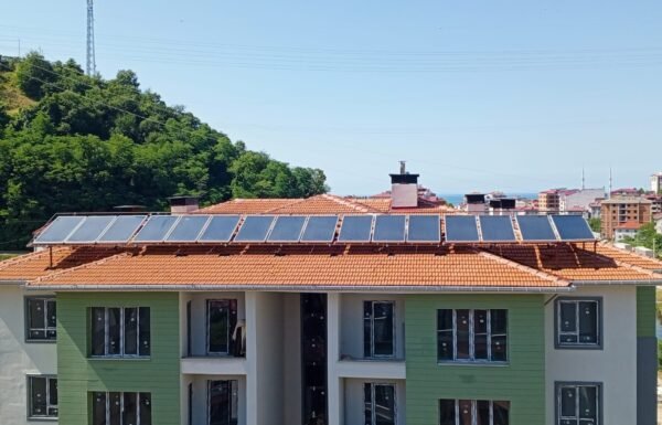 WhatsApp Image 2026-01-21 at 12.33.58