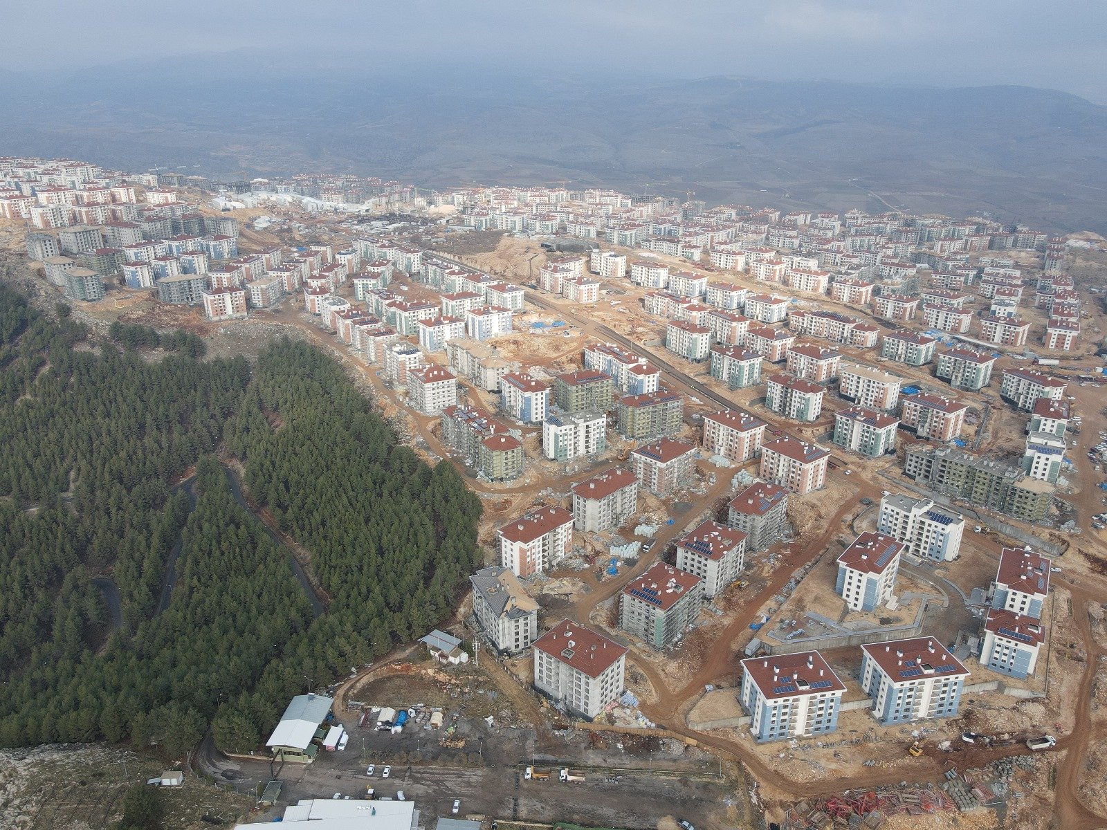 WhatsApp Image 2026-01-21 at 13.04.43 (3)