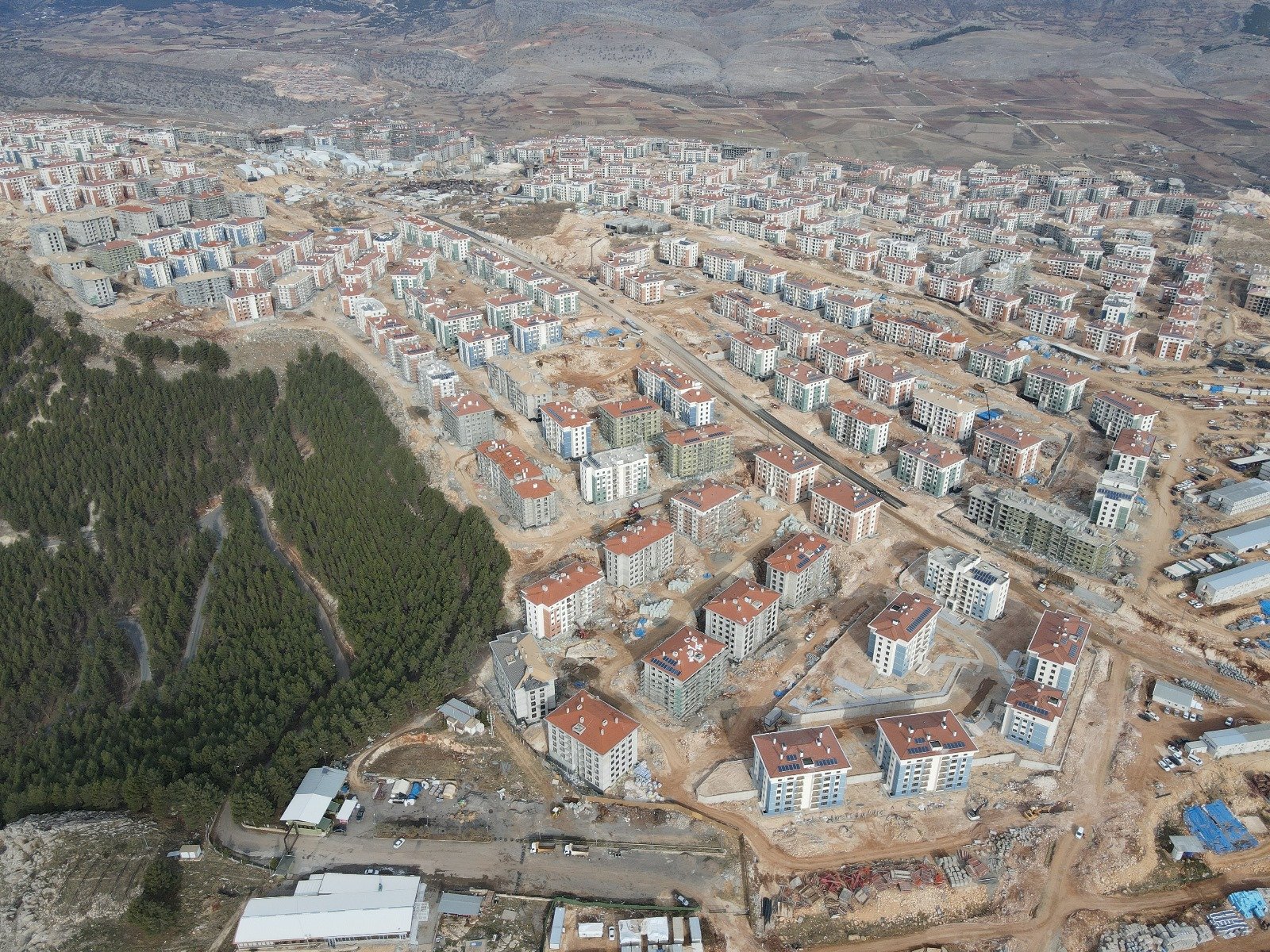 WhatsApp Image 2026-01-21 at 13.04.45 (4)