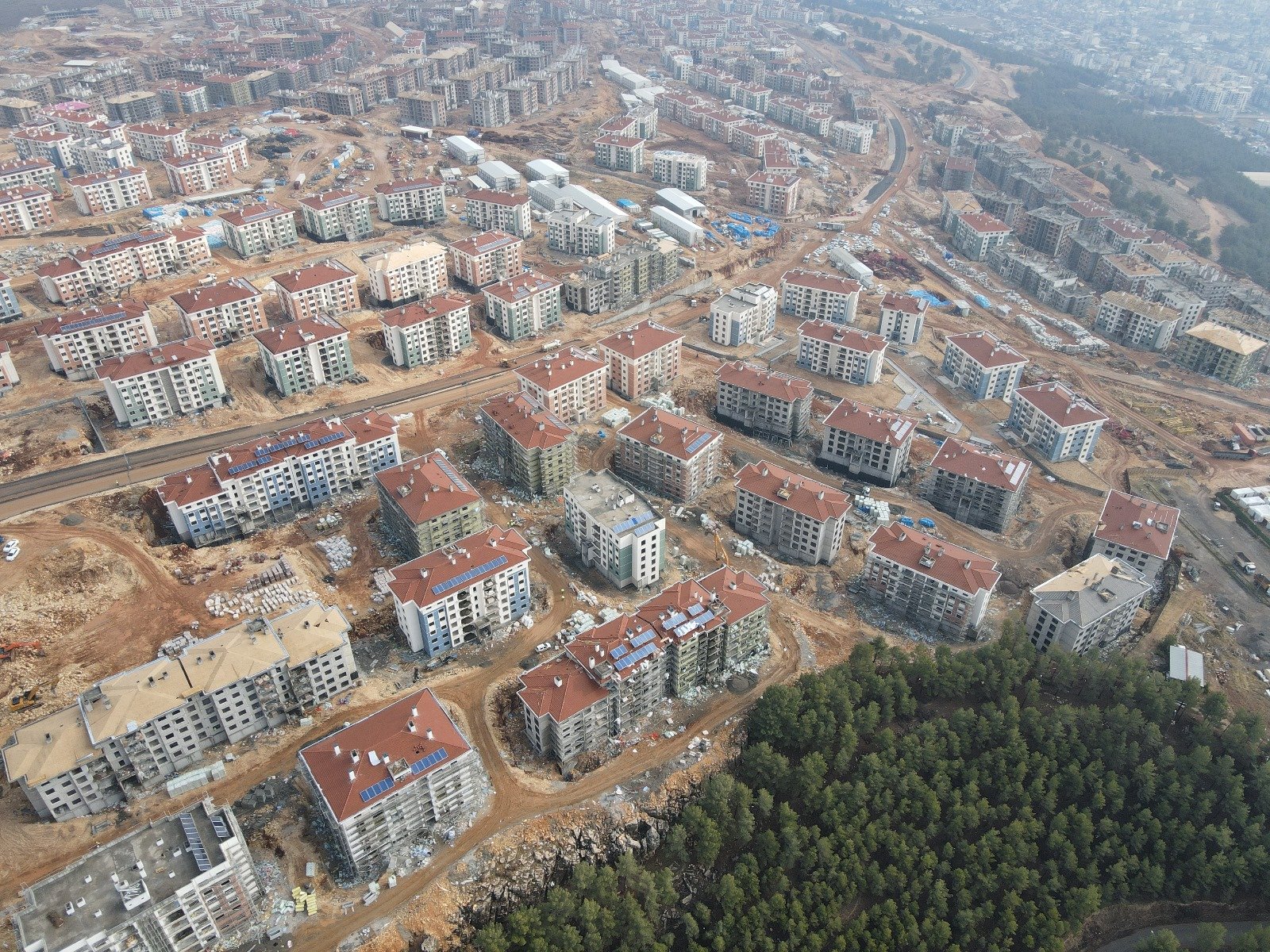 WhatsApp Image 2026-01-21 at 13.04.46 (1)