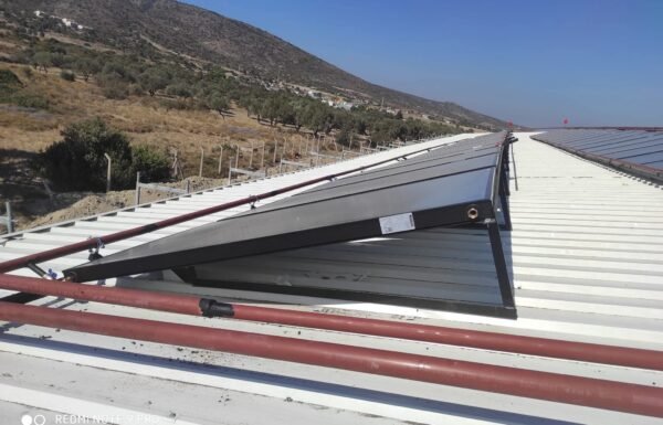 WhatsApp Image 2026-01-21 at 13.26.34