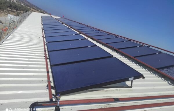 WhatsApp Image 2026-01-21 at 13.26.53