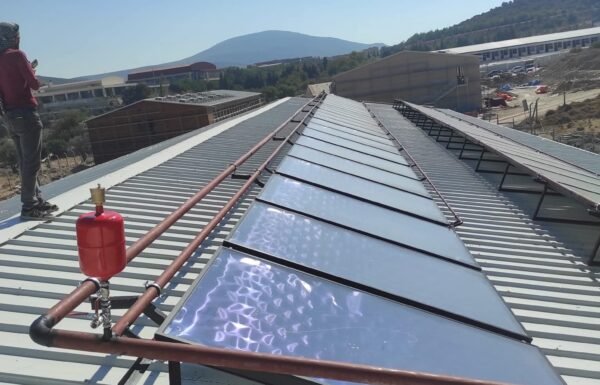 WhatsApp Image 2026-01-21 at 13.27.25