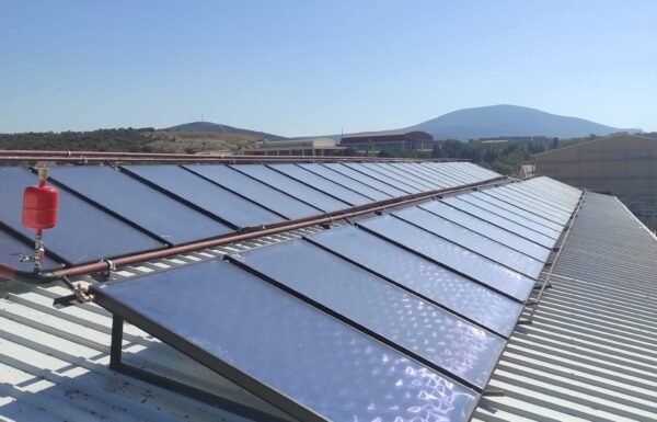 WhatsApp Image 2026-01-21 at 13.27.37