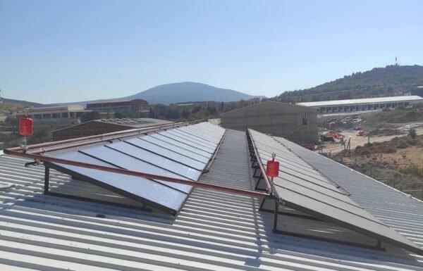 WhatsApp Image 2026-01-21 at 13.27.52