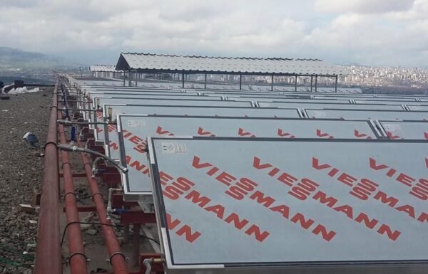 WhatsApp Image 2026-01-21 at 13.47.54