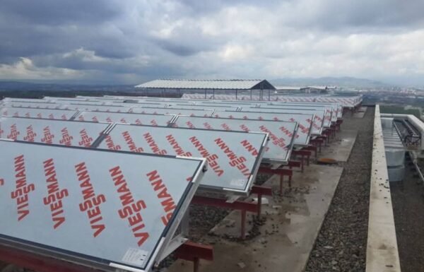 WhatsApp Image 2026-01-21 at 13.48.02