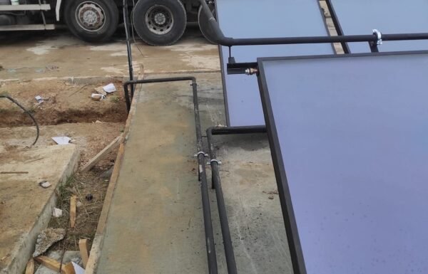 WhatsApp Image 2026-01-21 at 13.50.53