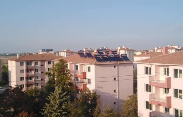 WhatsApp Image 2026-01-21 at 13.55.15